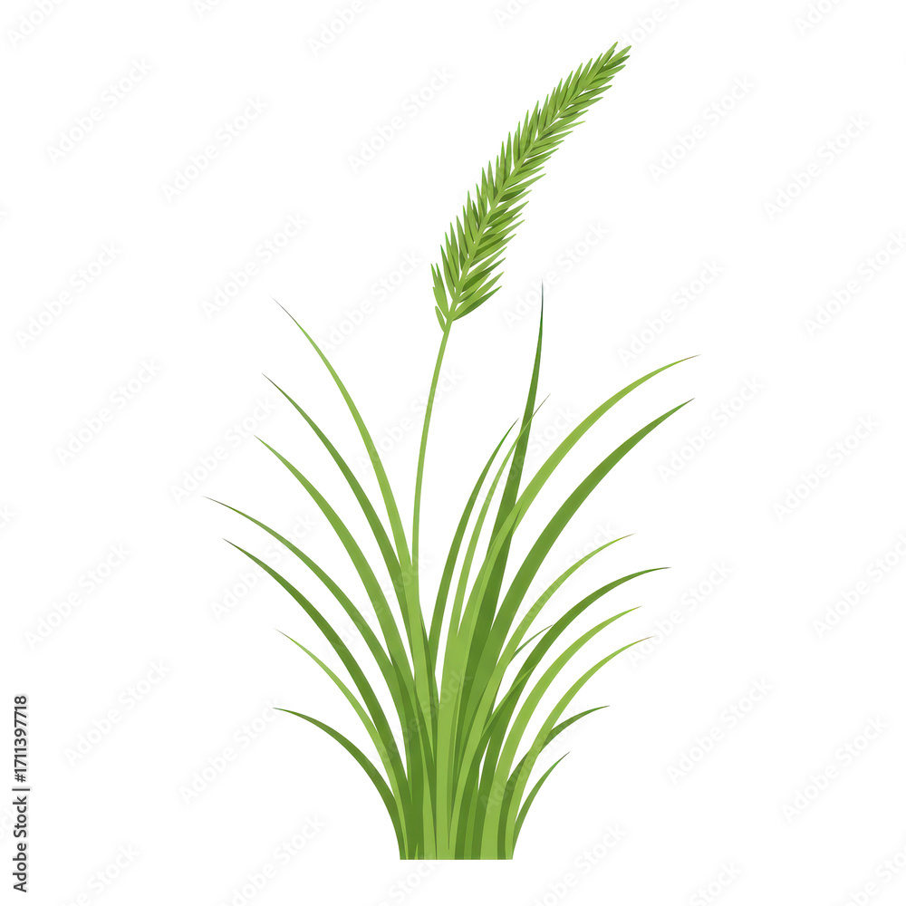 Fototapeta premium Vibrant green grass tuft against a blank background isolated on white background