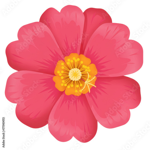 Vibrant pink flower with detailed petals and center isolated on white background