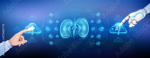 Doctor finger and robot touching plus sign and AI in clouds. Kidney organ translucent polygon with medical network icons. Cyborg human collaboration. Health care technology digital. Banner vector.