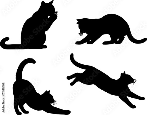 silhouette cat posture act black shape mono tone color on white background