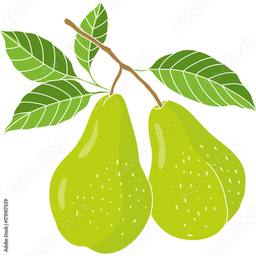 Vector illustration of ripe green pear fruit with leaves, flat style design, ideal for patterns, healthy food projects, and vegetarian themes.