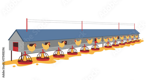 Flat vector illustration displaying a modern poultry farm setup with feeders