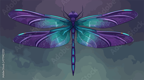 Colorful dragonfly illustration