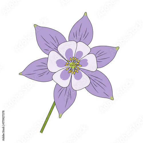 Detailed illustration of a vibrant purple columbine flower isolated on white background