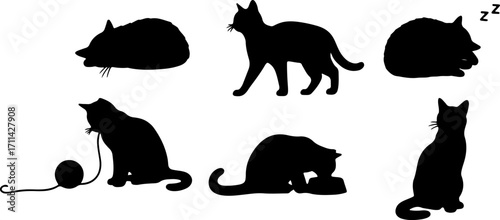 silhouette cat posture act black shape monochrome color on white background