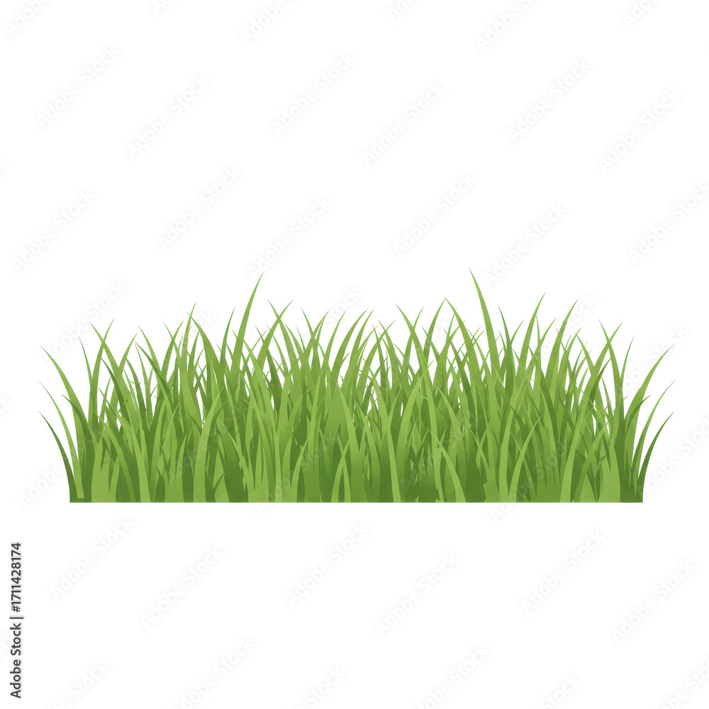 Obraz premium Lush green grass blades in a dense, detailed, and natural arrangement isolated on white background