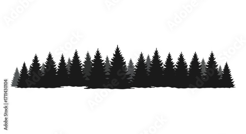 A dense silhouette of coniferous trees against a plain white background