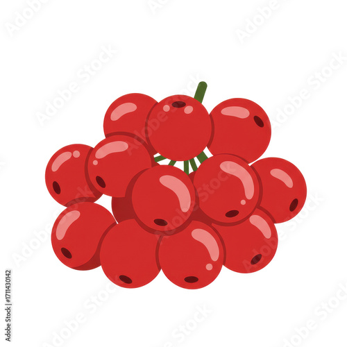 Vibrant red berries clustered on green stems, detailed illustration isolated on white background