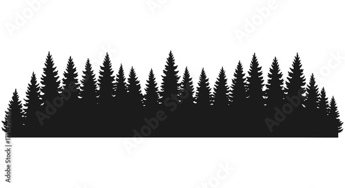 Silhouetted evergreen trees create a dense forest landscape illustration