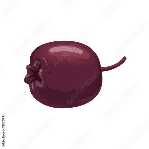 Detailed illustration of a deep burgundy berry isolated on white background