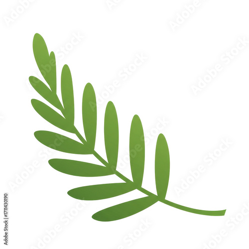 Stylized olive branch with elongated leaves and subtle texture detail isolated on white background