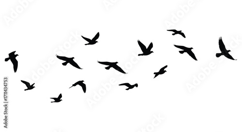 A flock of silhouetted birds flying against a plain white background