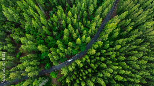 Fotografie Aerial view of dark green forest road and white electric car Natural landscape a