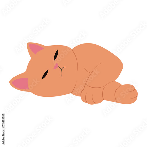 lazy cat meme