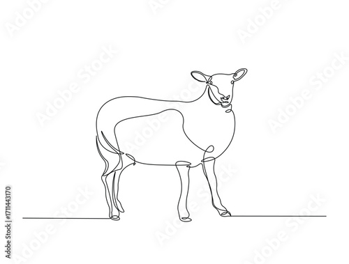 Continuous line art drawing of sheep in farm. Domestic sheep in single line art drawing vector illustration. Editable stroke.