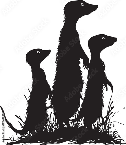 Alert meerkats stand guard in silhouette