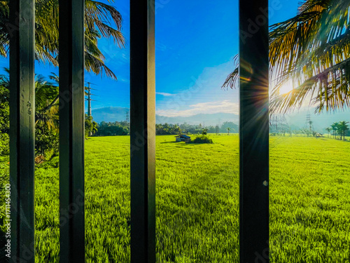 sunrise in the field