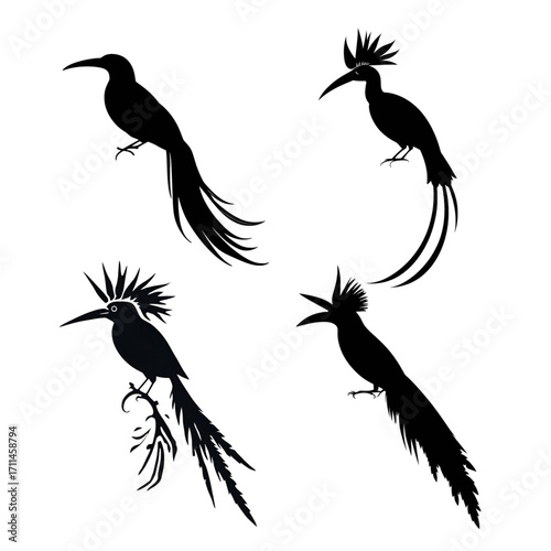 Exotic Bird Silhouettes Collection