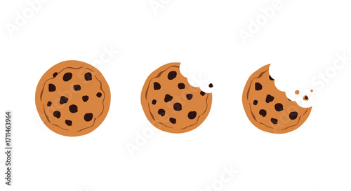 Delicious chocolate chip cookies a sweet treat for everyone to enjoy.