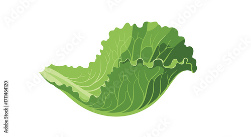 A vibrant green leaf of lettuce provides a fresh addition to any meal.