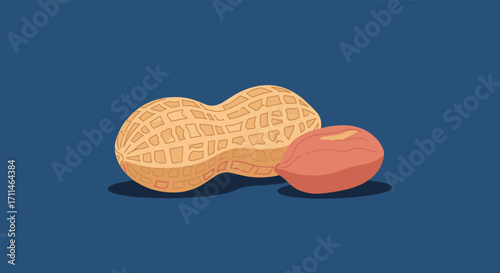 A close up view of a peanut and a shelled peanut on a blue background.
