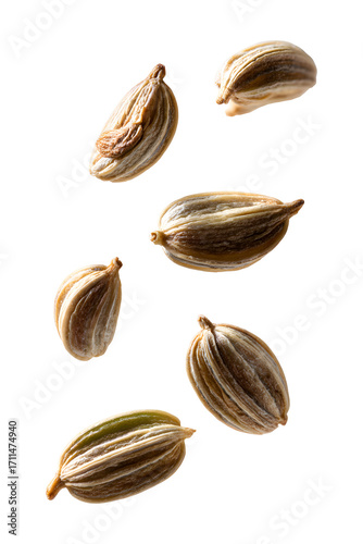 Wallpaper Mural Floating cardamom pods isolated on transparent background Torontodigital.ca