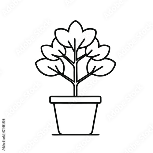 tree in a pot