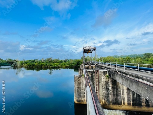 bridge over the river