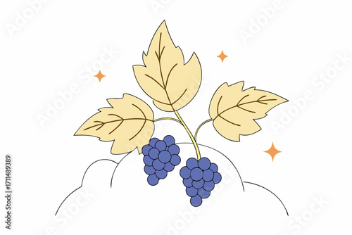 bunch of grapes vector illustration