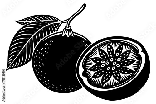 vector illustration of an passion fruit