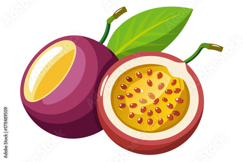 vector illustration of an passion fruit