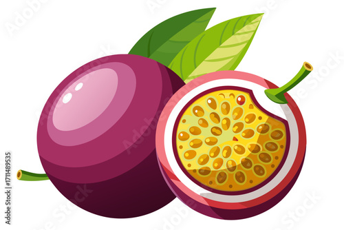 vector illustration of a fresh fruit