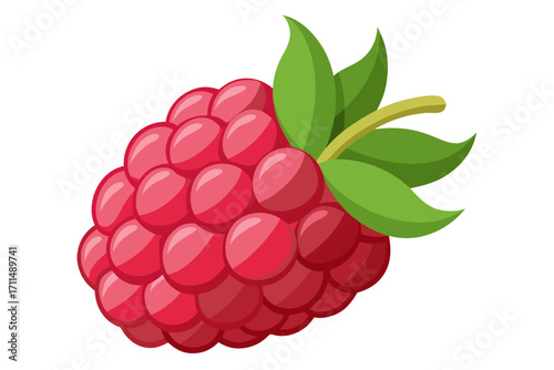 raspberry with leaf
