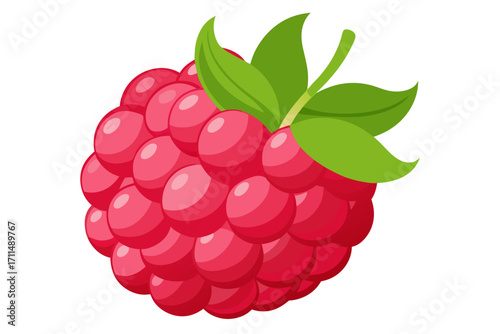 raspberry with leaf