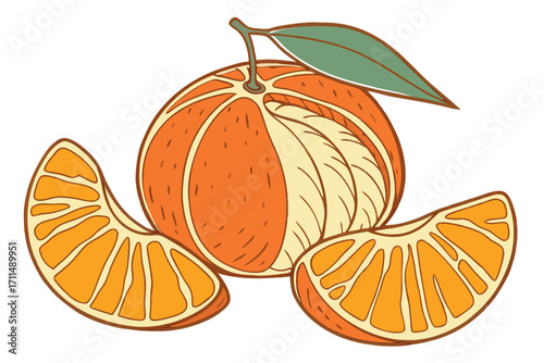 tangerine fruit vector illustration