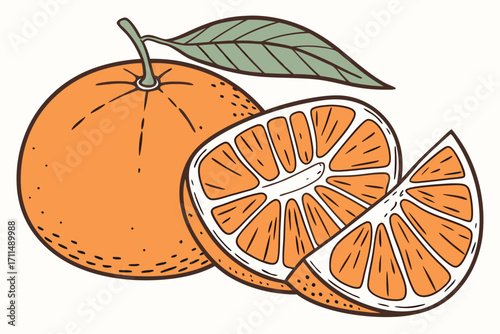 slice of tangerine fruit