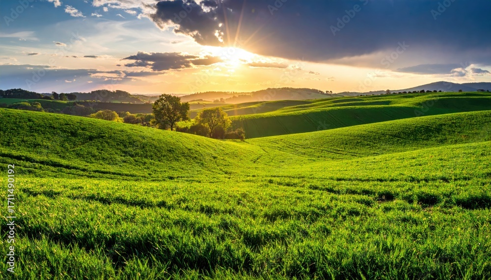 Naklejka premium Scenic Green Field Rolling Hills Under Golden Sunlight and Dramatic Sky at Sunset Panorama with Trees in the Background Landscape Photography