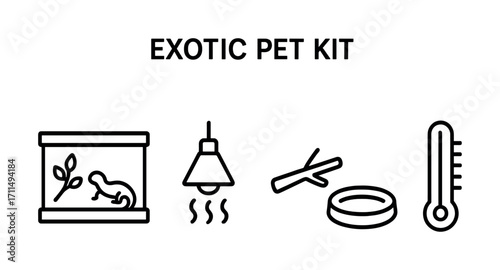 Exotic pet kit: terrarium, heating lamp, accessories for reptile care