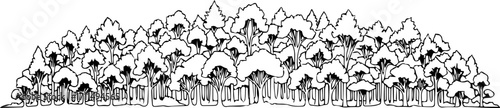 Dense forest panorama with varied trees creating natural beauty and environmental appeal