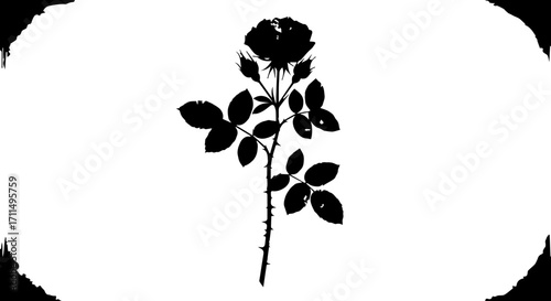 Elegant rose silhouette symbolizing romance and natural beauty for artistic designs