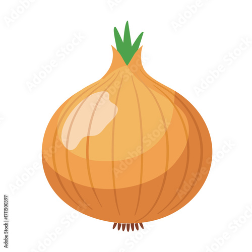 Vector illustration of onion, round shape, light brown skin, clean flat design, isolated