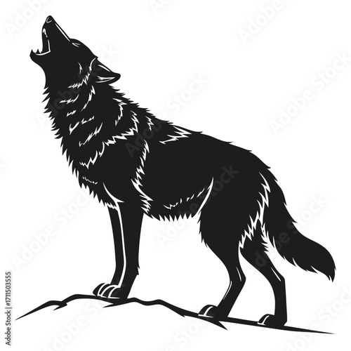 wolf vector illustration