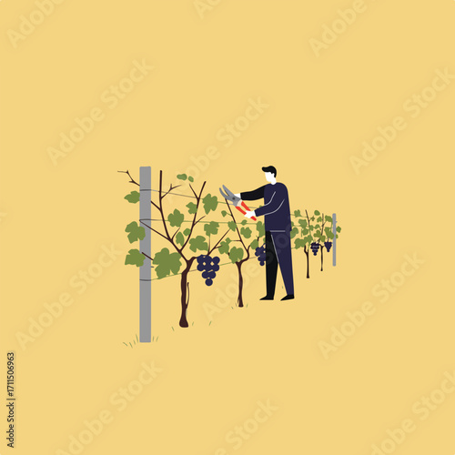 Flat-style illustration depicts a figure pruning grapevines in a vineyard setting