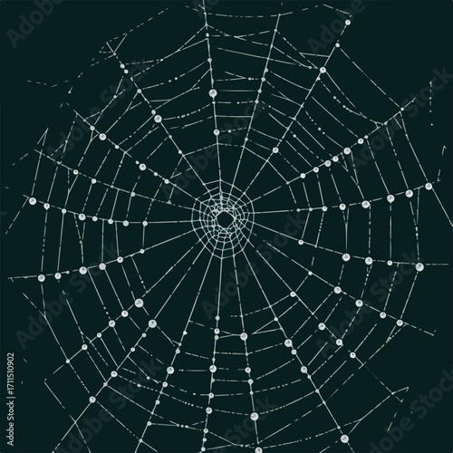 Cobweb with dewdrops on dark background, digitally drawn with slightly uneven, sketchy lines