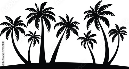 Silhouette of Palm Trees on Tropical Island