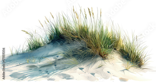 A sandy dune with lush grass, depicting a serene natural landscape.
