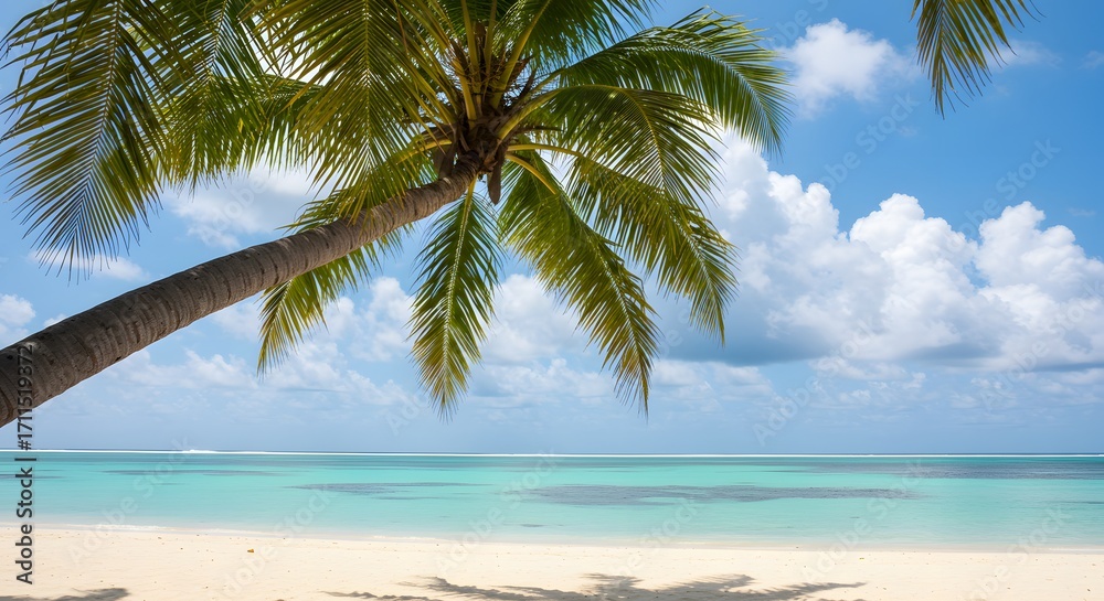 Fototapeta premium Tropical beach palm tree view