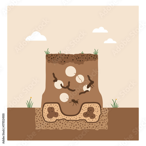 Illustration depicts an ant colony underground with soil, eggs, and small white clouds