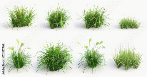 A collection of various grass clumps showcasing different shapes and sizes for design use.