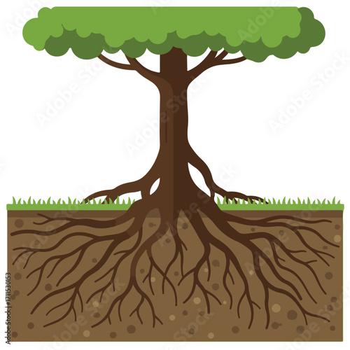 Stylized illustration of a tree showing its roots underground within a square cutaway